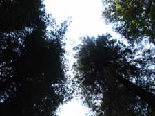 Delbert and Phillis Franklin camp managers since 1997